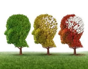 alzheimer-700x547-1-300x234.jpg